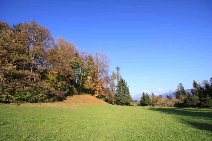 Automne au Mt-Pelerin - 071